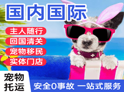 昆明航空快递国际宠物托运 【国